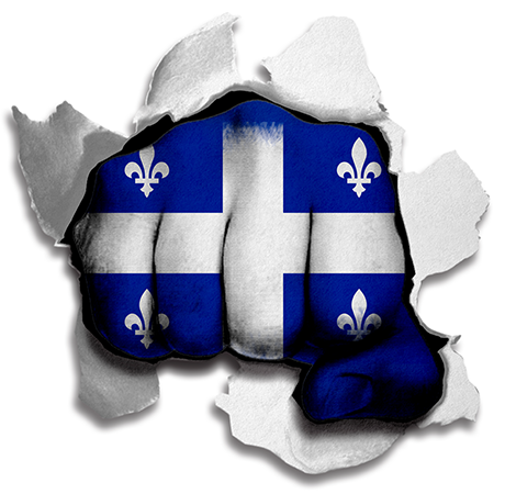 Fist Quebec Flag Logo vinyl decal